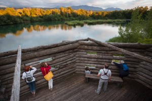 Visite de la réserve naturelle du delta de la Dranse