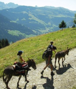 Geopark des Bauges