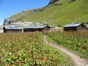 Refuge de Sales (1)