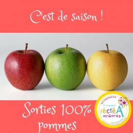 vignette pommes